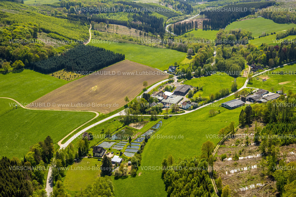 Sundern230505035 | Luftbild, Alfred Löhr Fischteiche, Gebr. Erner KG Holzwarenfabrik, Waldgebiet mit Waldschäden, Allendorf, Sundern, Sauerland, Nordrhein-Westfalen, Deutschland