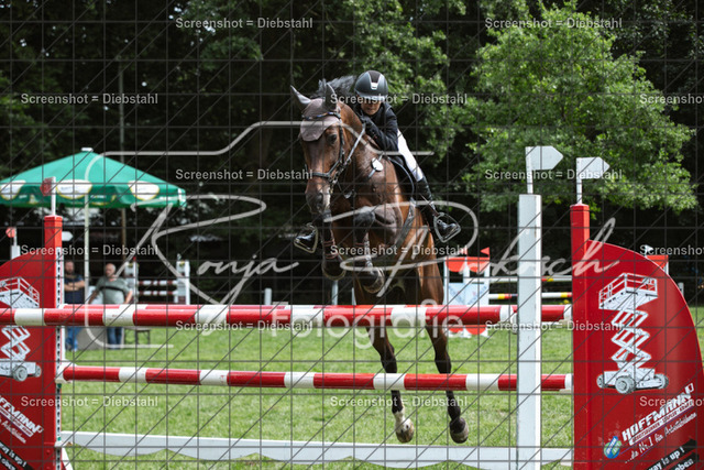 _W6A1849 | ronjaprokoschfotografie - Realisiert mit Pictrs.com