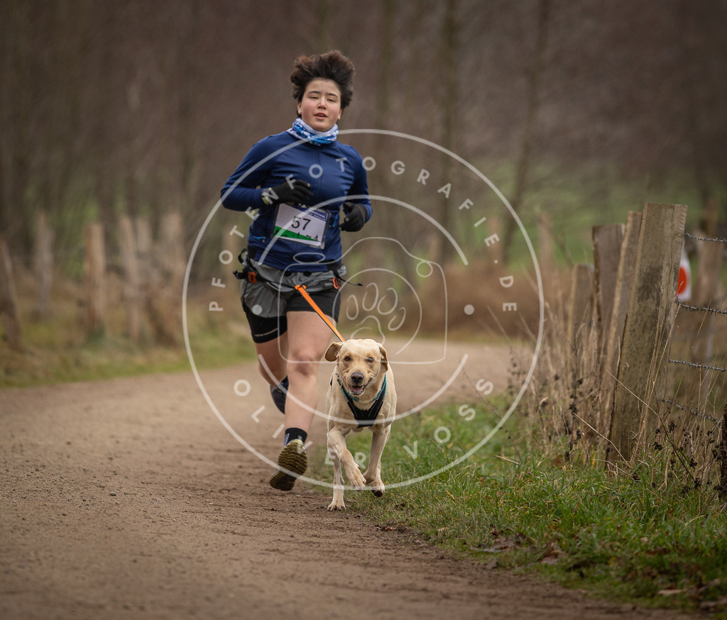 Pfotenfotografie_DV3A3091 | Hundefotografie, Tierfotograf, Pfotenfotografie, Fotoshooting Hund, Hunde Portrait, Hundesport, Hundeportraits, Heideshooting, Hunde, Sportfotograf, Hundefotograf, Turnierhundsport, THS,  - Realisiert mit Pictrs.com