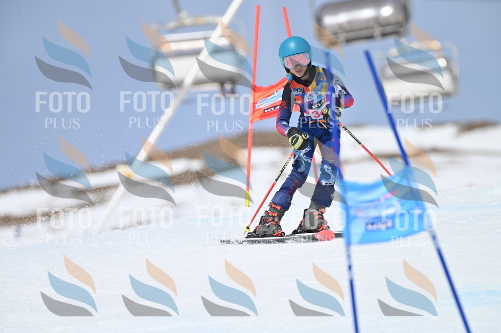 BGV_3597 | holidayphoto