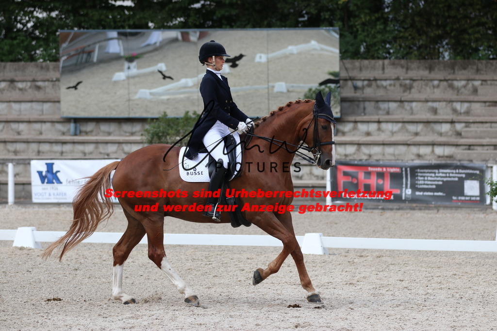 IMG_6444 | lmwpictures - Realisiert mit Pictrs.com