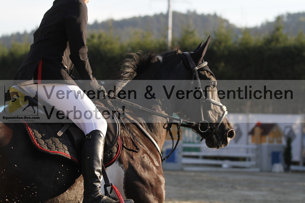 _MG_7220 | equestrian-live-com