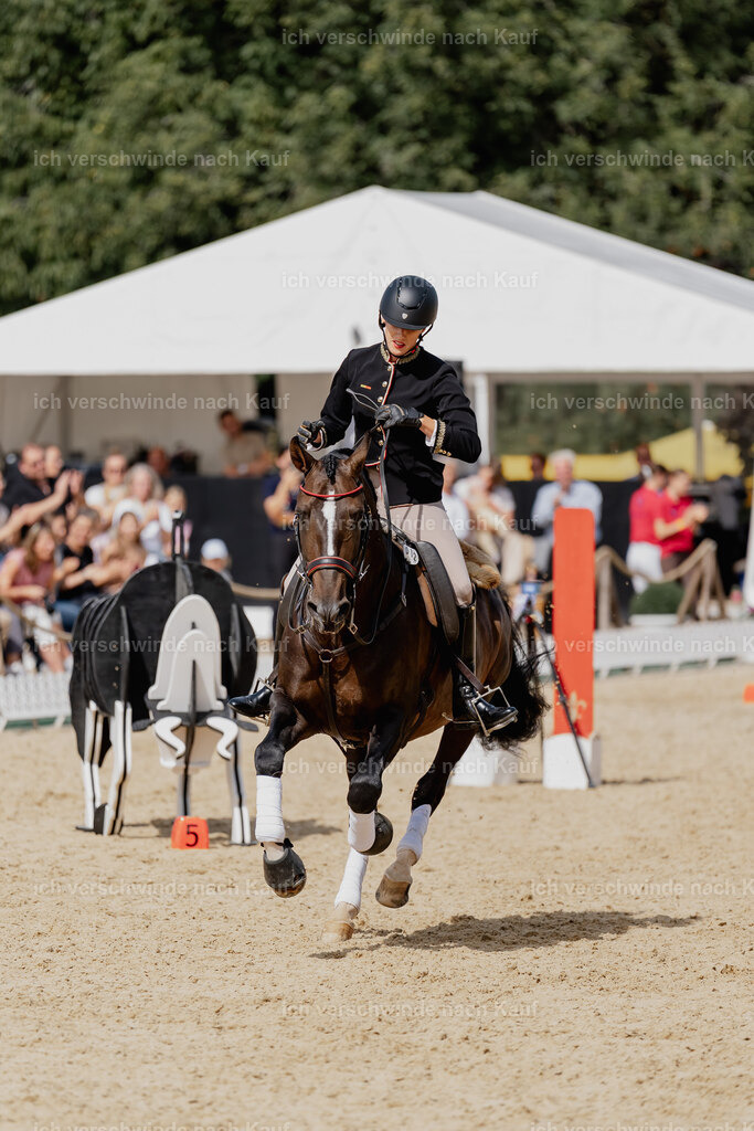 Virginie12FHC2025-3077 | working equitationturnier fotograf videograf stoibphotography marixx film working equitation deutschland reitsport turnierfotografie eventfotografie equestrian events