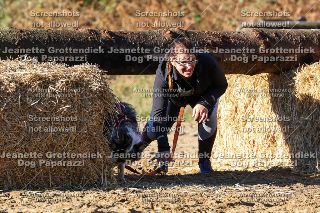 Dog Paparazzi - Strongdog 10-25-1526 | Dog Paparazzi Jeanette Grottendiek Fotografie & Videografie - Realisiert mit Pictrs.com