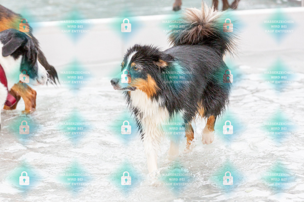 _HP_7399_1000o | HetPix, HetPix Fotodesign, Fotografie, Fotodesign, Webshop, Sportfotografie, Portraitfotografie, Onlineshop, Sportfotografie, Polch, Motorsportfotografie, Eventfotografie