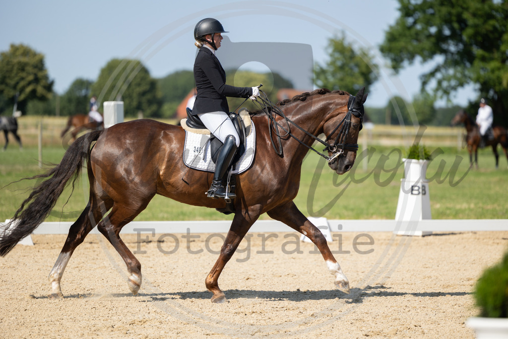 994A3181 | sabrinanicolaifotografie - Realisiert mit Pictrs.com