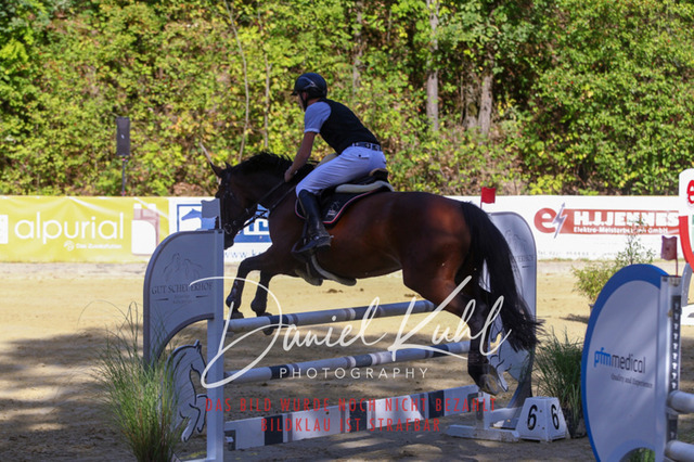 DKP43459 | Turniersportfotografie; Pferdefotografie; Dressurfotografie