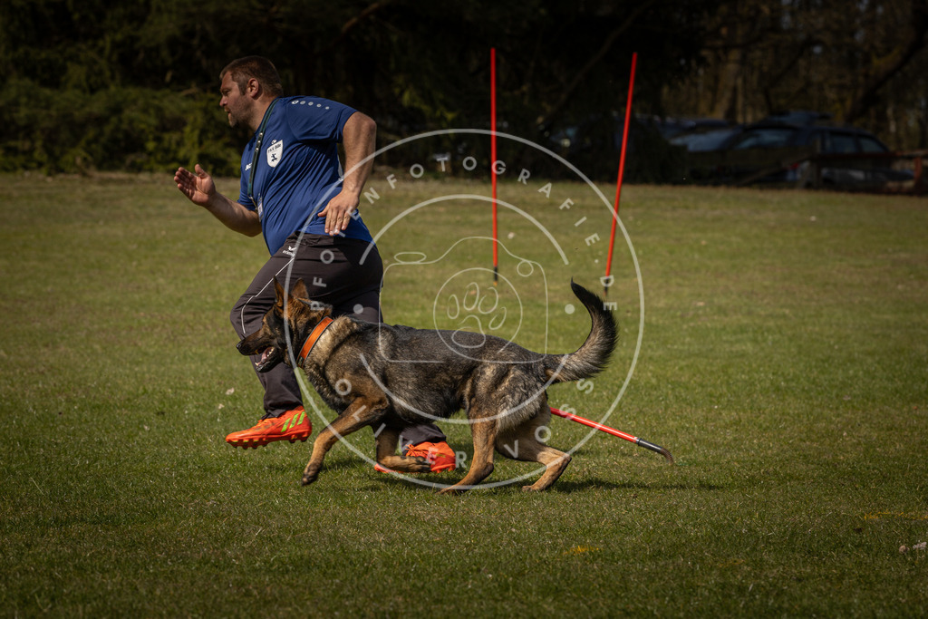 Pfotenfotografie_DV3A4771 | Hundefotografie, Tierfotograf, Pfotenfotografie, Fotoshooting Hund, Hunde Portrait, Hundesport, Hundeportraits, Heideshooting, Hunde, Sportfotograf, Hundefotograf, Turnierhundsport, THS,  - Realisiert mit Pictrs.com