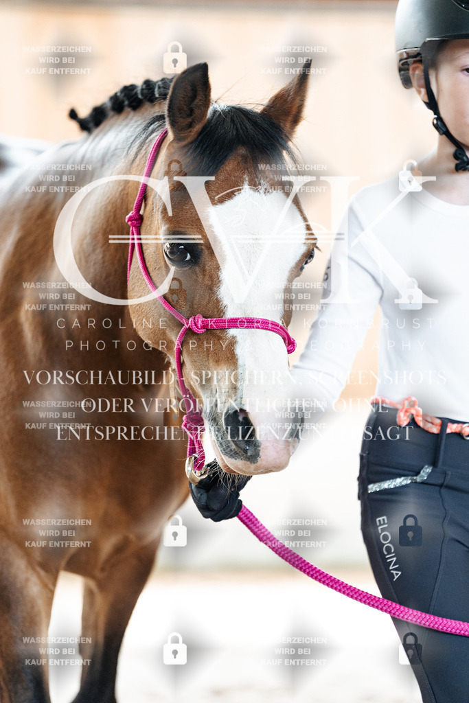 CK907120 | Turnierfotografie Pferdefotografie Trier Rheinland-Pfalz Pferdesport Reitsport Tierfotografie Sportfotografie Pferdevideo Pferdevideografie Equestrianvideography equestrianphotography  - Realisiert mit Pictrs.com