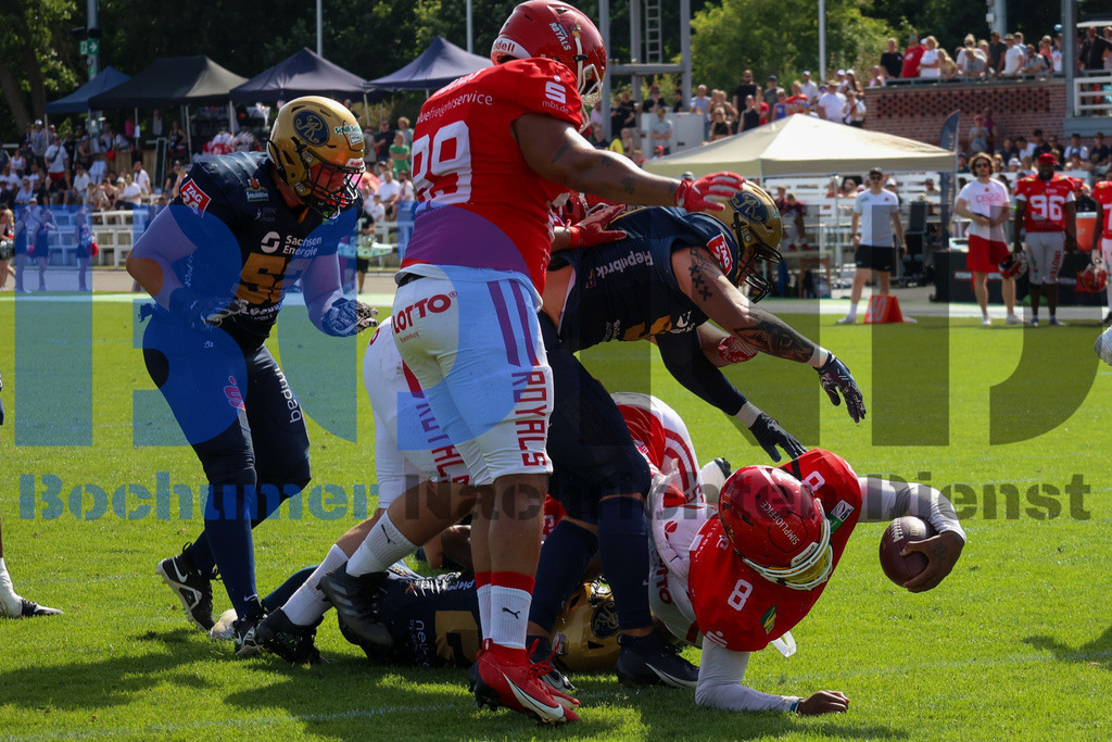 GFL: Potsdam Royals vs. Dresden Monarchs{date} -  | {headline}(Foto: Thomas Sobotzki / BOND) - Realisiert mit Pictrs.com