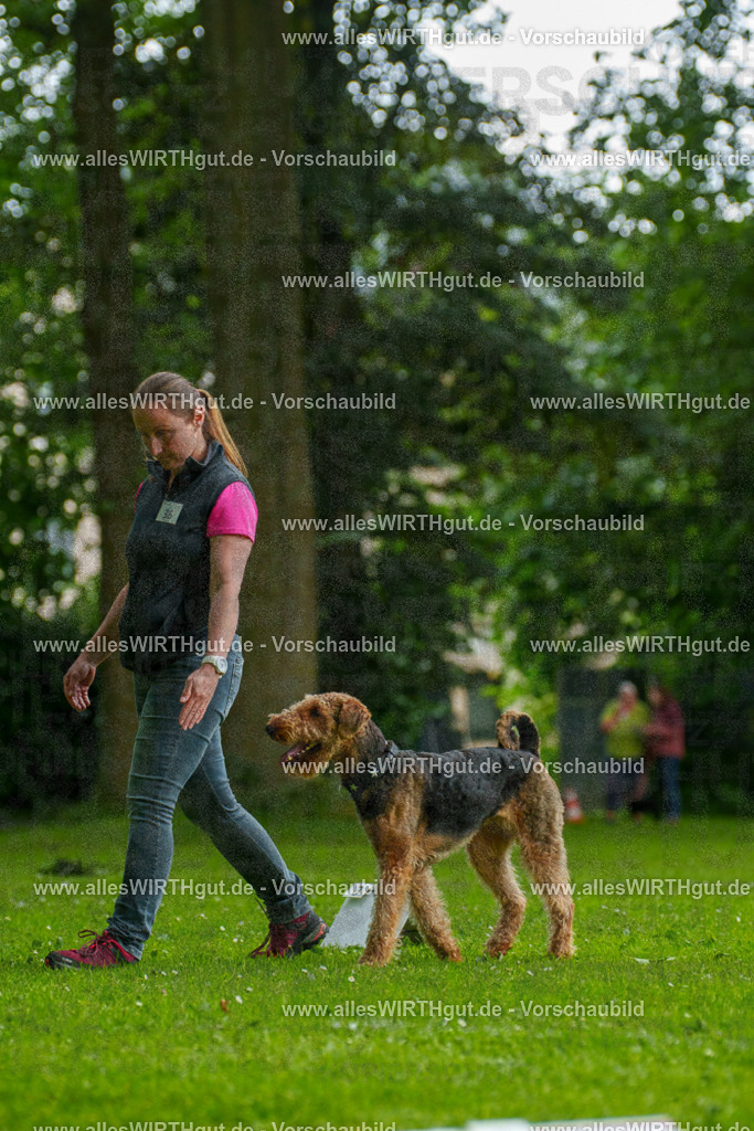 @allesWIRTHgut_Tierfotografie - www.allesWIRTHgut.de - 123838-7R509221 | Professionelle Tierfotografie in Mönchengladbach von Daniel Wirth (allesWIRTHgut). Liebevolle & natürliche Bilder von Hunden & Katzen für unvergessliche Erinnerungen.