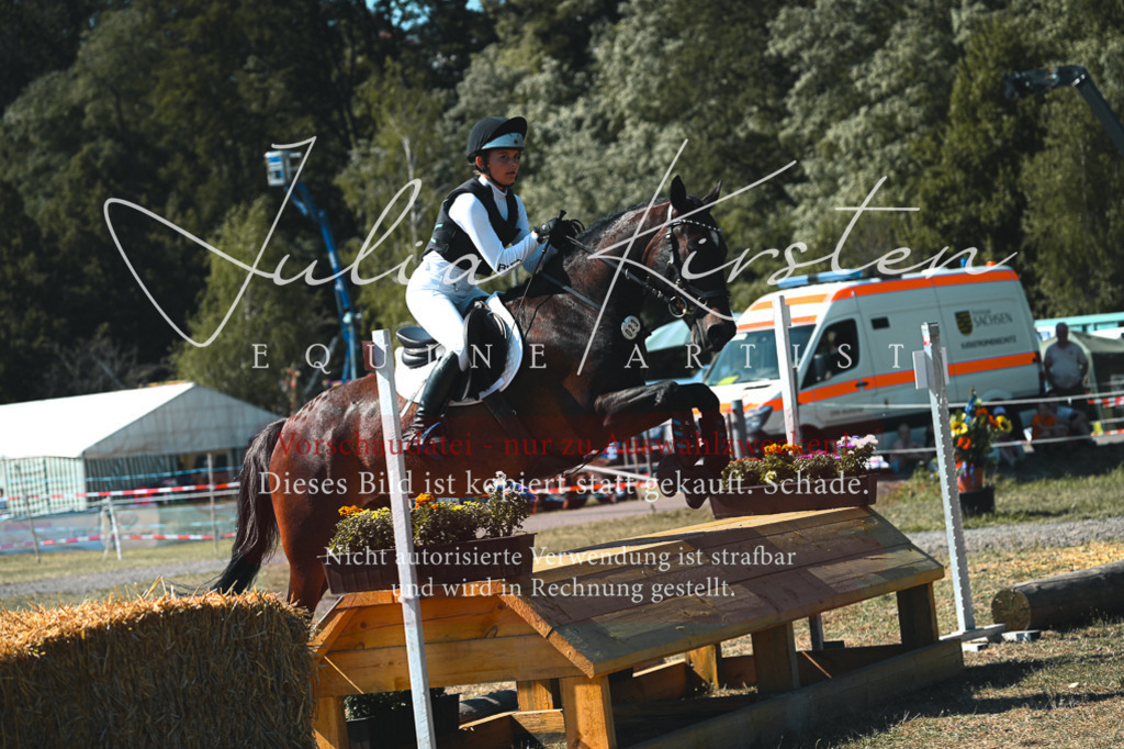 DSC_8208 | Pferde- und Turnierfotografie in Westsachsen. Pferdeportraits, Auftragszeichnungen und intuitive Kunst.