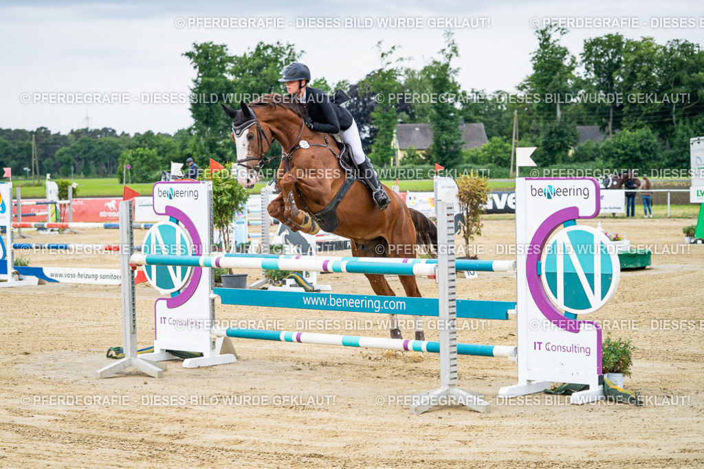 DSC05341 | Pferdegrafie