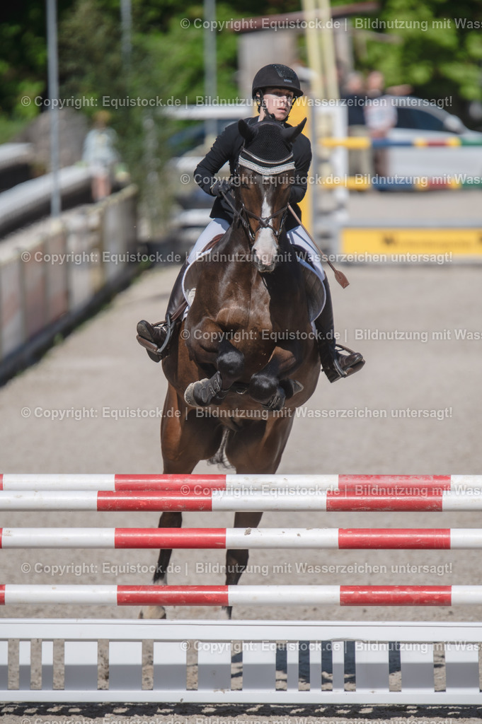 20240512_CCI2-L_Show-Jumping_0001 | Foto: Thomas Hartig