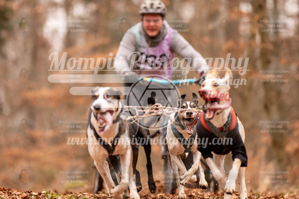 AKM_ST_2023_SAM_DR4-25 | PayLife