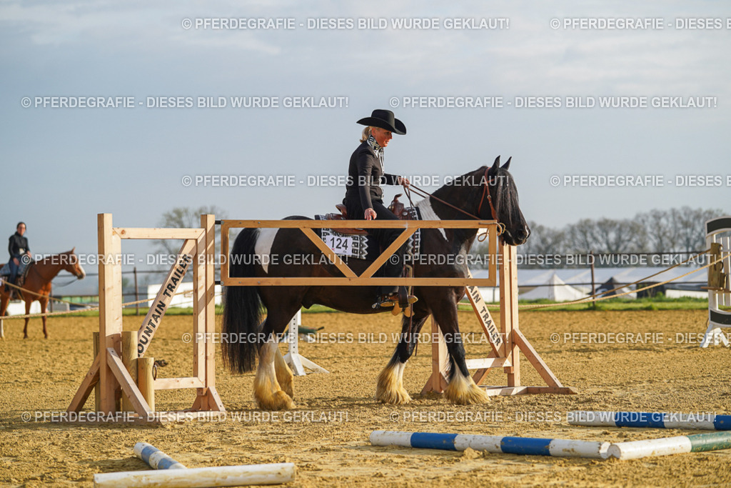 DSC09942 | Pferdegrafie