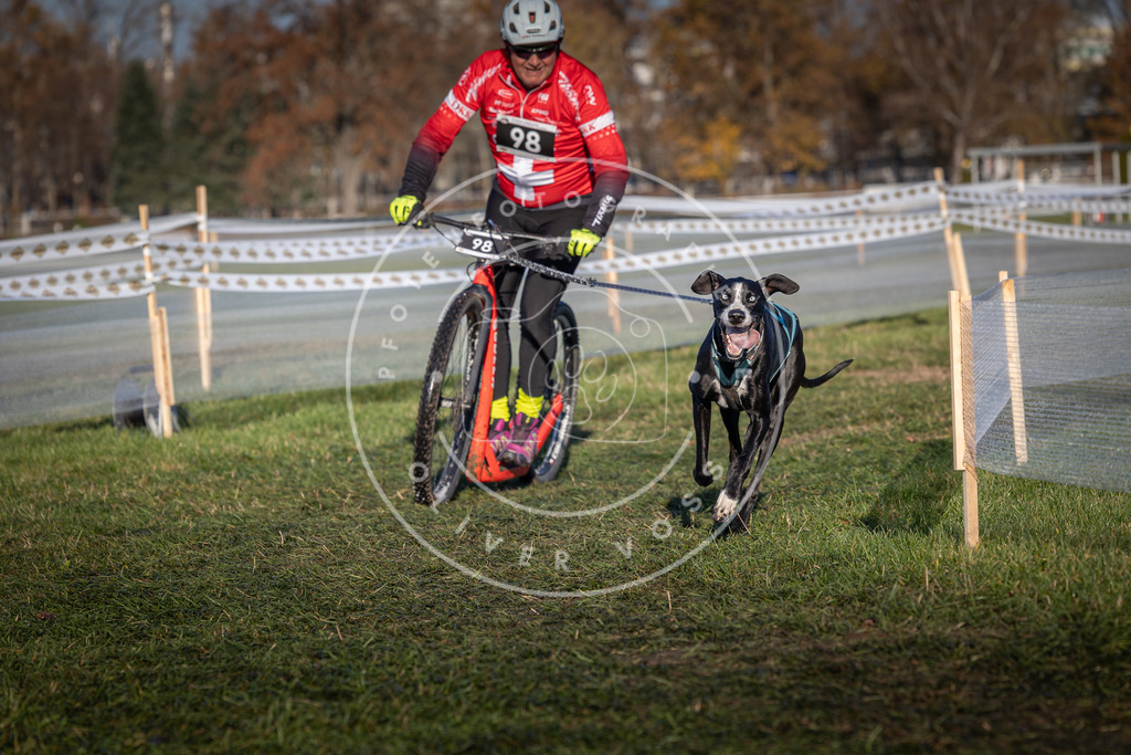 CaniXpix_0L8A4100 | Hundefotografie, Tierfotograf, Pfotenfotografie, Fotoshooting Hund, Hunde Portrait, Hundesport, Hundeportraits, Heideshooting, Hunde, Sportfotograf, Hundefotograf, Turnierhundsport, THS,  - Realisiert mit Pictrs.com