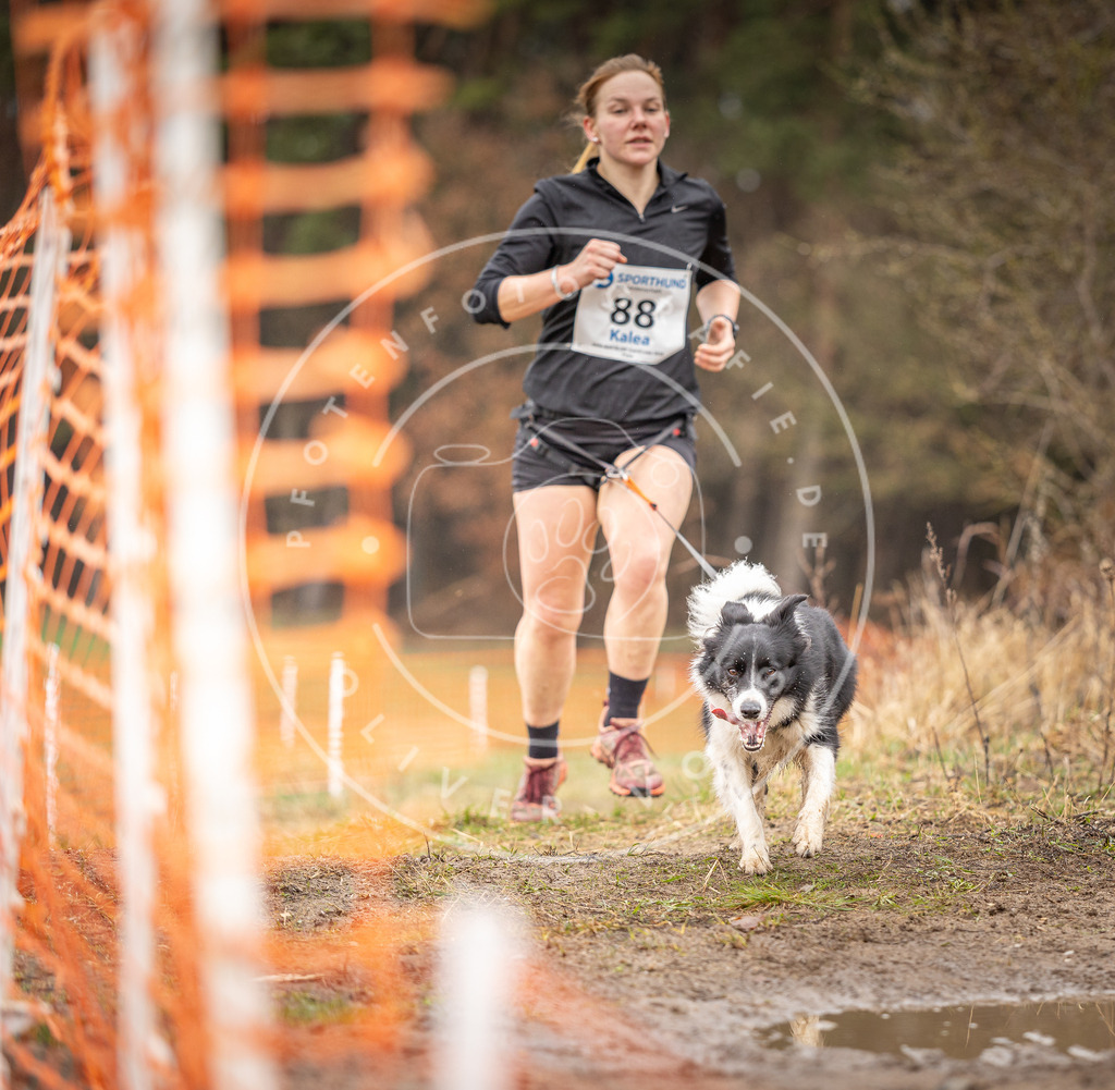 DV3A0388 | Hundefotografie, Tierfotograf, Pfotenfotografie, Fotoshooting Hund, Hunde Portrait, Hundesport, Hundeportraits, Heideshooting, Hunde, Sportfotograf, Hundefotograf, Turnierhundsport, THS,  - Realisiert mit Pictrs.com