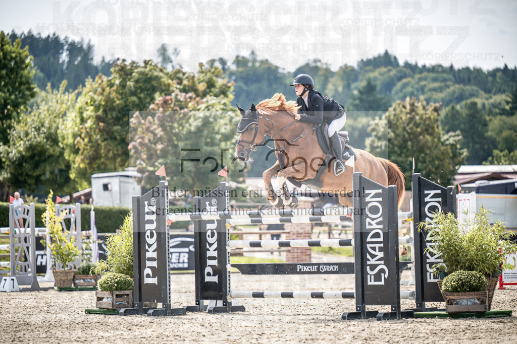 DOS_8692 | Entdecke hochwertige Reitturnierfotos von Foto Oger. Professionell, emotional und authentisch – jetzt Lieblingsmomente im Shop bestellen.Deutschlandweite Turnierfotografie. - Realisiert mit Pictrs.com