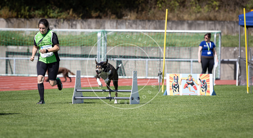 Pfotenfotografie_DV3A8919 | Hundefotografie, Tierfotograf, Pfotenfotografie, Fotoshooting Hund, Hunde Portrait, Hundesport, Hundeportraits, Heideshooting, Hunde, Sportfotograf, Hundefotograf, Turnierhundsport, THS,  - Realisiert mit Pictrs.com