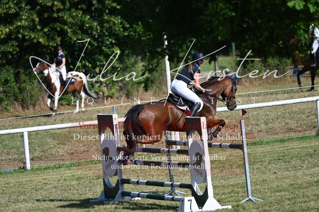 DSC_2098 | Pferde- und Turnierfotografie in Westsachsen. Pferdeportraits, Auftragszeichnungen und intuitive Kunst.