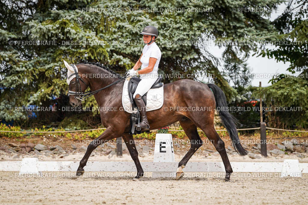 DSC06326 | Pferdegrafie