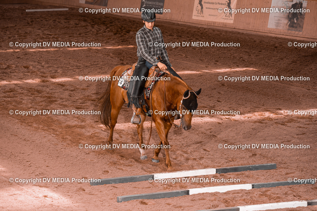 NE300390 | dv-media-shop - Realisiert mit Pictrs.com