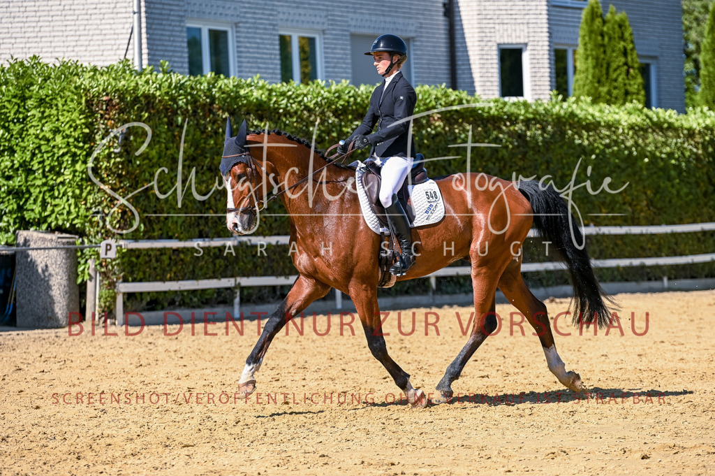 Schugtsche-Aluta25-50.Dressurpferdeprf.L-142 | Schugtsche Fotografie - Realisiert mit Pictrs.com