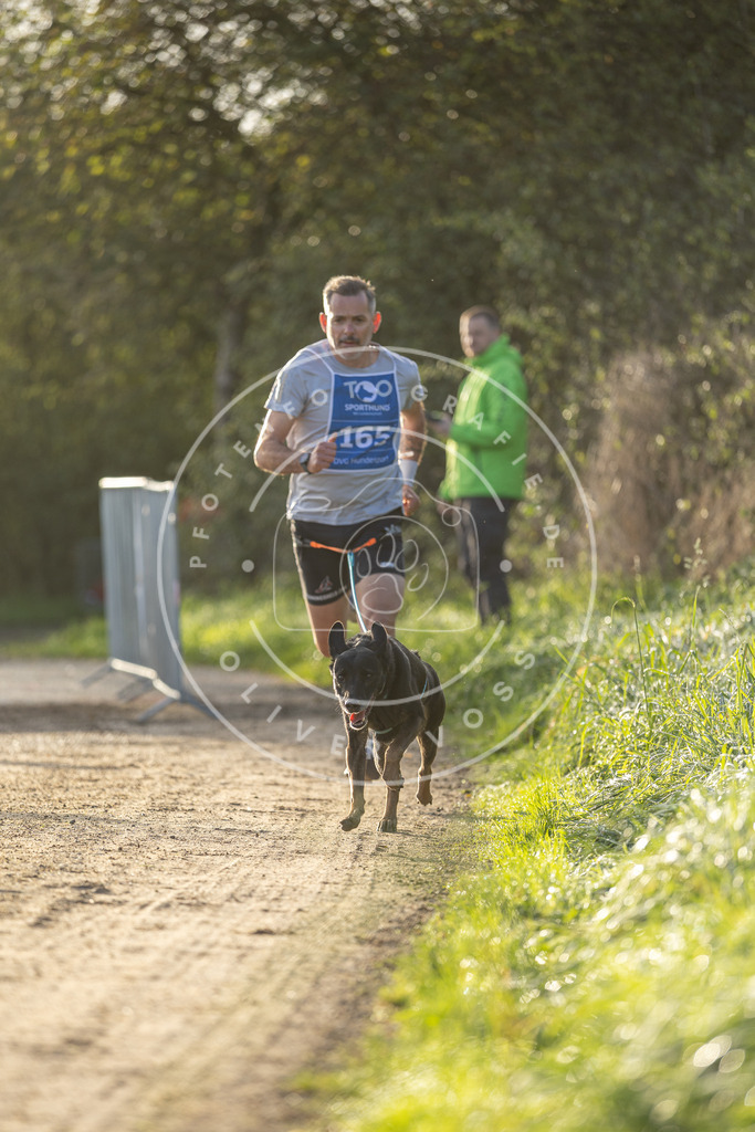Pfotenfotografie.de_DV3A2649 | Hundefotografie, Tierfotograf, Pfotenfotografie, Fotoshooting Hund, Hunde Portrait, Hundesport, Hundeportraits, Heideshooting, Hunde, Sportfotograf, Hundefotograf, Turnierhundsport, THS, canicross - Realisiert mit Pictrs.com