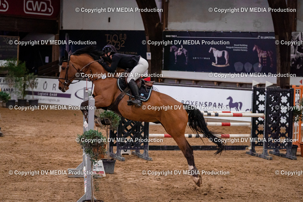 Kranichstein Tag 2-1001 | dv-media-shop - Realisiert mit Pictrs.com