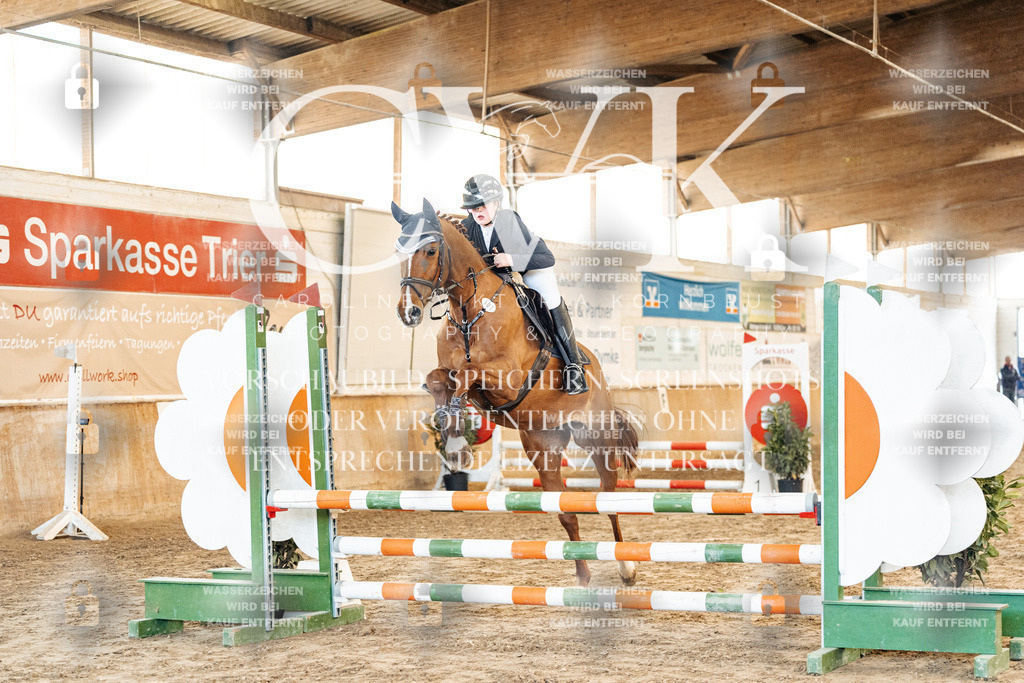 CK903745 | Turnierfotografie Pferdefotografie Trier Rheinland-Pfalz Pferdesport Reitsport Tierfotografie Sportfotografie Pferdevideo Pferdevideografie Equestrianvideography equestrianphotography  - Realized with Pictrs.com