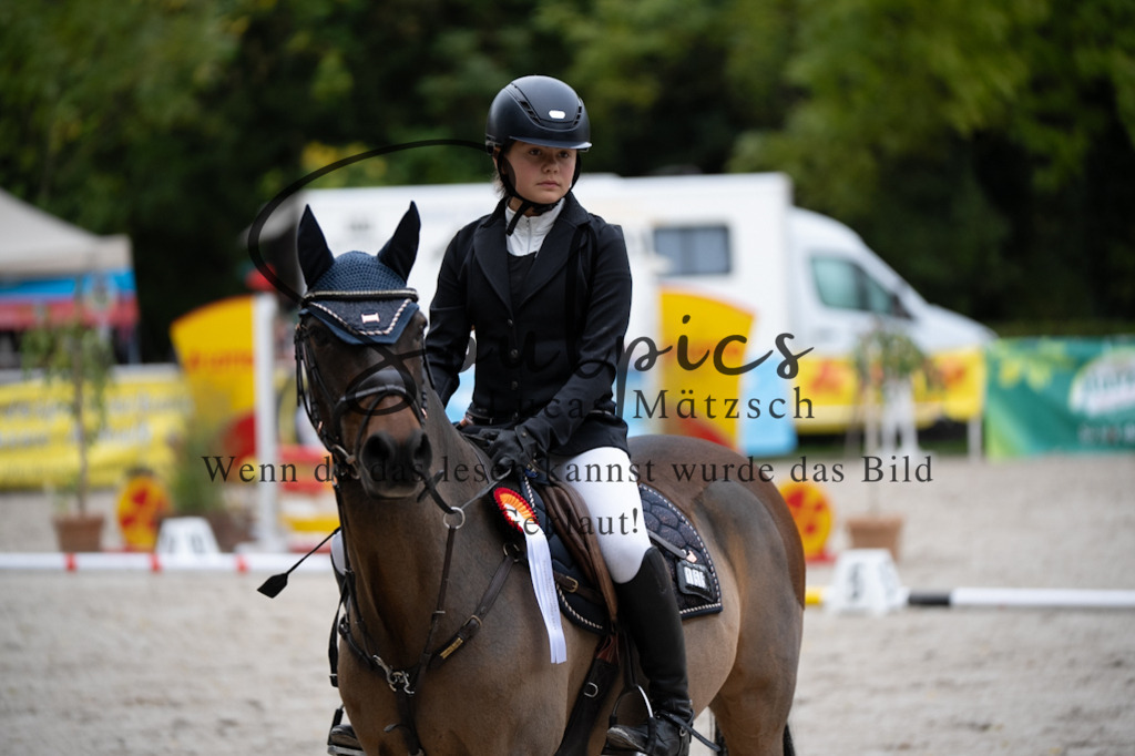 A7V08517 | Pferdefotograf