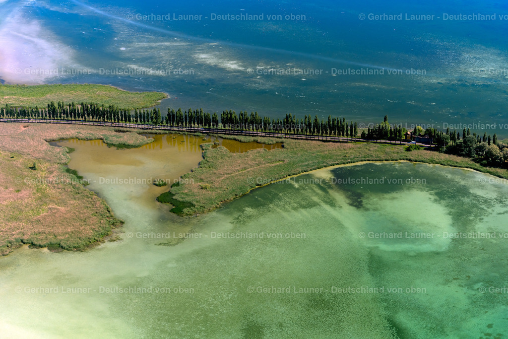 4032185 | Pappelallee bei REICHENAU 12.06.2020 Steg zur Bodensee-Insel Reichenau in Reichenau im Bundesland Baden-Württemberg. // Bridge to the Island Reichenau on the Lake of Constance in Reichenau in the state Baden-Wuerttemberg. Foto: Gerhard Launer