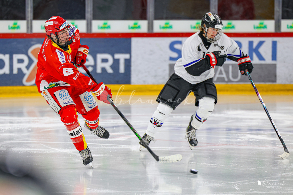 EHCB Spirit vs HCFG_wb-7106 | Sportbilder, Sportfotograf, Hochzeits- und Eventfotografin, Flugshows, Portraits und Tiershooting, Aviation, Downhill, Nationalleague, Swissleague, International