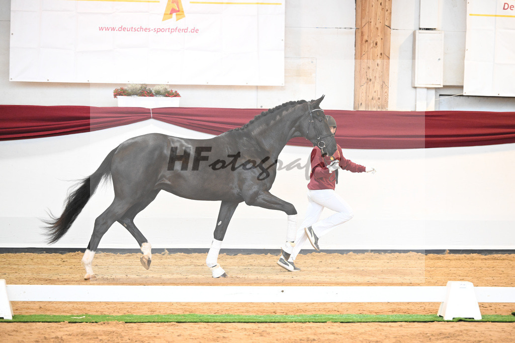 Kat-Nr. 22 v. Don Juan de Hus_Mueller_66220667 | hf-fotografie - Realisiert mit Pictrs.com