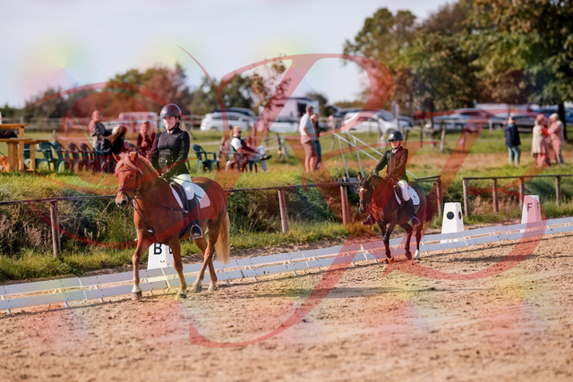 2026_10_03_Siefer-Hof_122307_Z81_22944435 | Professionelle Reitsport-, Turnier- und Eventfotografie von Robert Broda. Galerien mit ausgewählten und bearbeiteten Bildern direkt online ansehen und bestellen.
