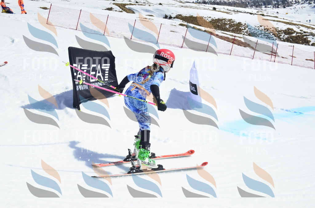 _ELE1217 | holidayphoto