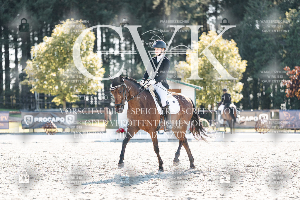 CK906249 | Turnierfotografie Pferdefotografie Trier Rheinland-Pfalz Pferdesport Reitsport Tierfotografie Sportfotografie Pferdevideo Pferdevideografie Equestrianvideography equestrianphotography  - Realisiert mit Pictrs.com