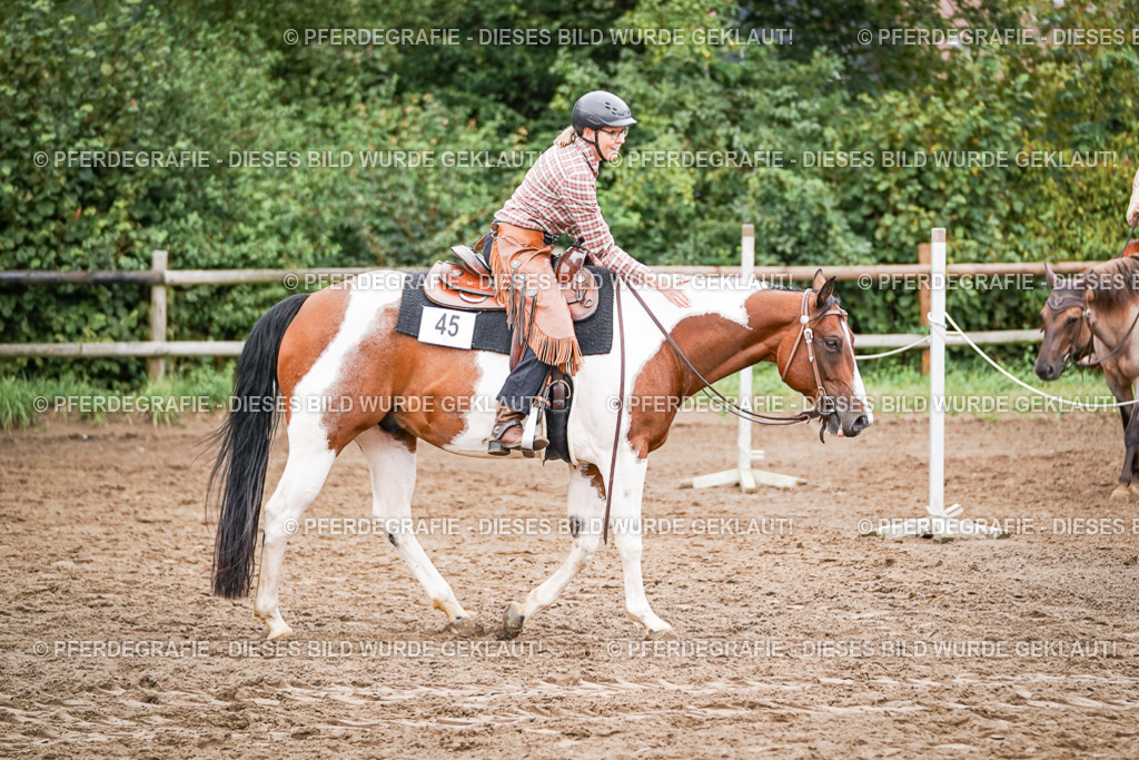 DSC02804 | Pferdegrafie