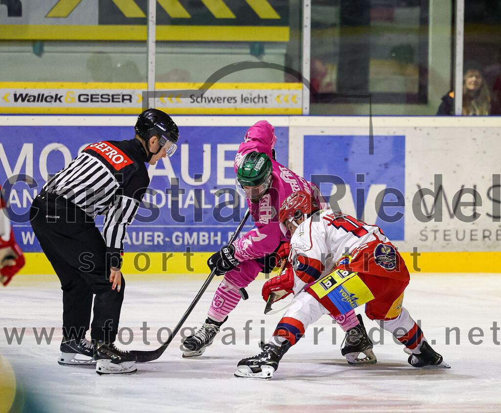 2025-10-24_105_TSV_Erding_gegen_Deggendorfer_SC | Erding, Deutschland, 24.10.2025:Eishockey, Oberliga Süd 2025 / 2026, 11. Spieltag, TSV Erding gegen Deggendorfer SC, Endergebnis: 2:4Philipp Michl (Erding Gladiators, #77)Foto: Christian Riedel / fotografie-riedel.net