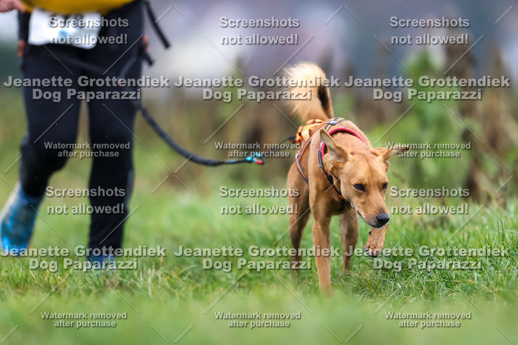 Dog Paparazzi - Herkules Race  2025-75 | Dog Paparazzi Jeanette Grottendiek Fotografie & Videografie - Realisiert mit Pictrs.com