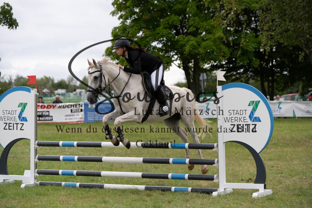 A7V05560 | Pferdefotograf