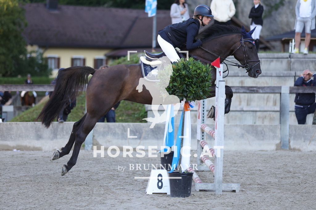 0P6A4214 | Willkommen bei Brunnmayr - Design & Fotografie – Ihrem Spezialisten für Reitturniere und Pferdeveranstaltungen in Oberösterreich, Salzburg und Bayern! Seit über 17 Jahren sind wir leidenschaftlich dabei.