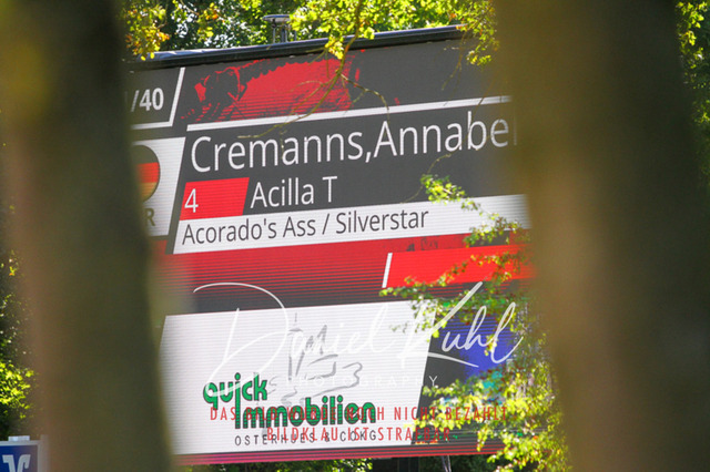 DKP42936 | Turniersportfotografie; Pferdefotografie; Dressurfotografie