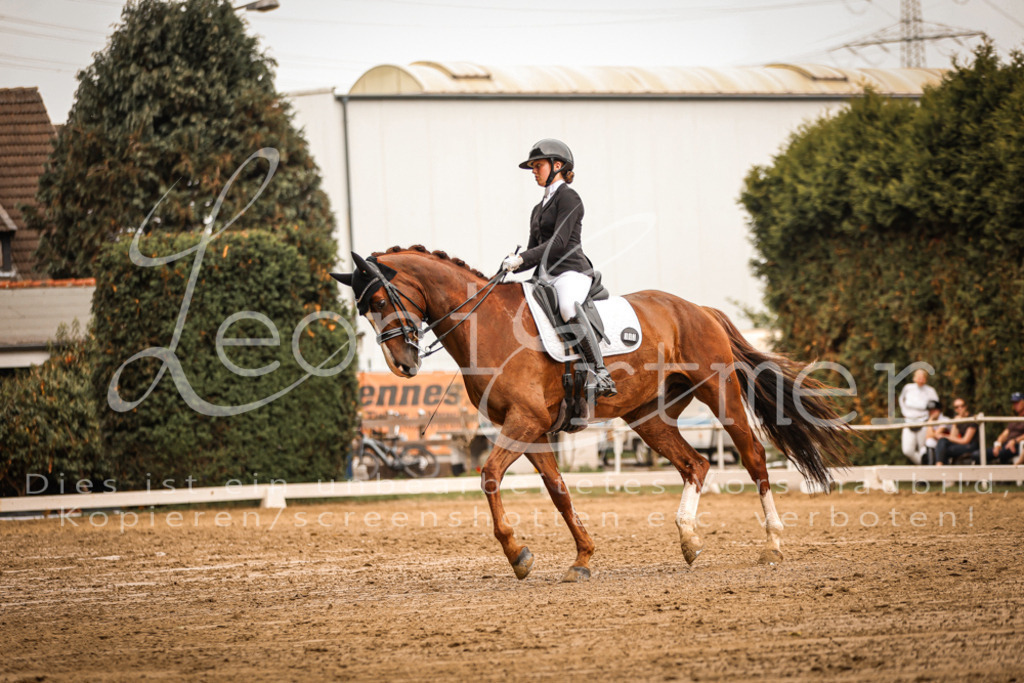 16.SaDrM00140 | Leoni Ertmer Photography - Realisiert mit Pictrs.com