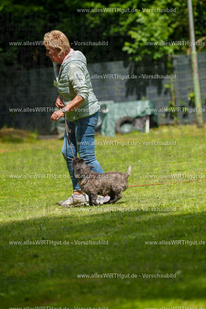 @allesWIRTHgut_Tierfotografie - www.allesWIRTHgut.de - 7R504433 | Professionelle Tierfotografie in Mönchengladbach von Daniel Wirth (allesWIRTHgut). Liebevolle & natürliche Bilder von Hunden & Katzen für unvergessliche Erinnerungen.
