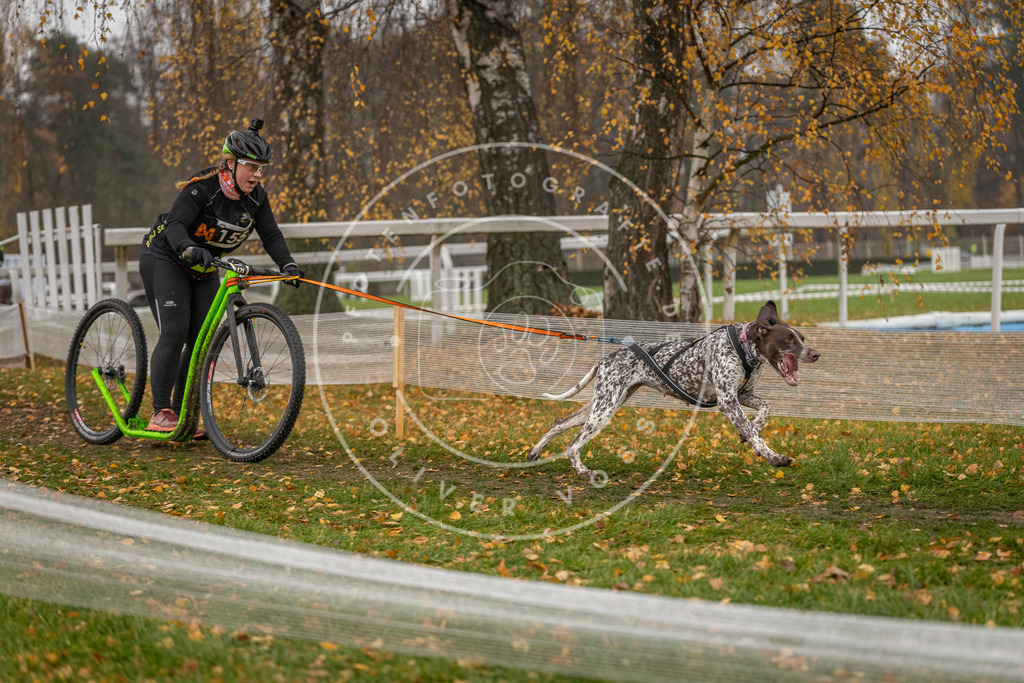 CaniXpix_DV3A7965 | Hundefotografie, Tierfotograf, Pfotenfotografie, Fotoshooting Hund, Hunde Portrait, Hundesport, Hundeportraits, Heideshooting, Hunde, Sportfotograf, Hundefotograf, Turnierhundsport, THS,  - Realisiert mit Pictrs.com