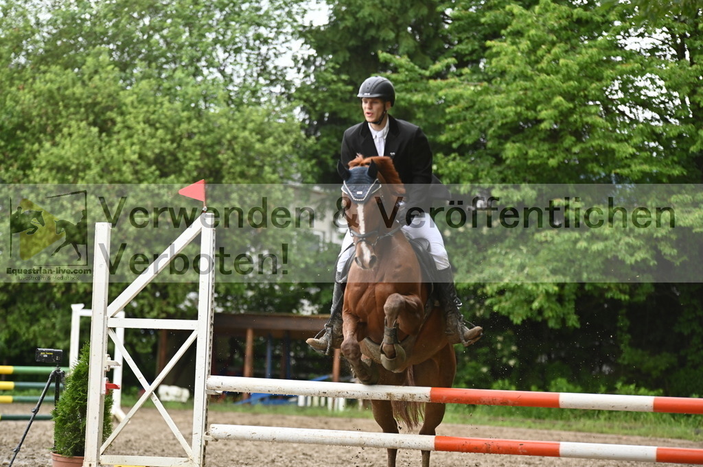 DSC_0534 | equestrian-live-com