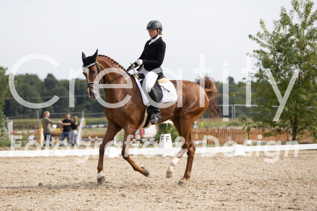 IMG_4216 | Creatify Fotografie