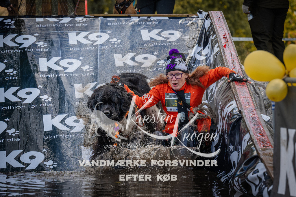 1533_ZZ94864 | kk-dogfotos